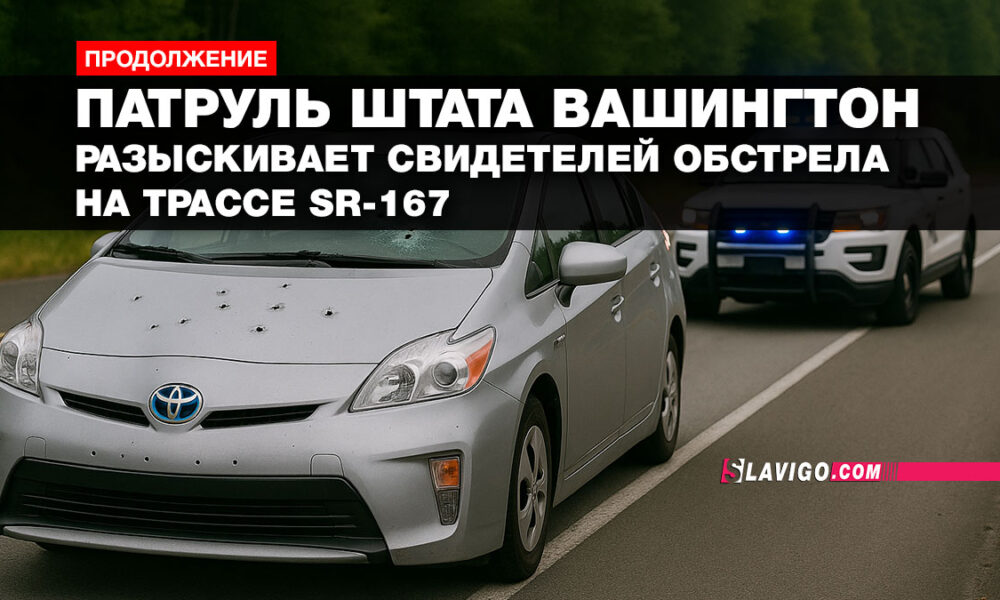 русскоязычные новости сиэтла на slavigo.com