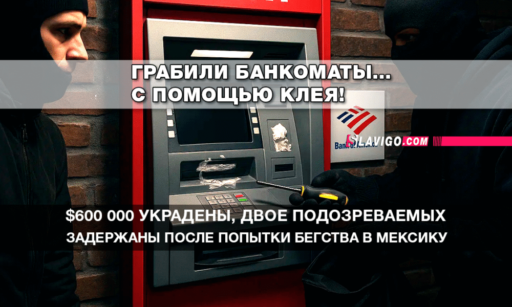 свежие новости сиетла на русском языке только на slavigo.com