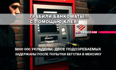 свежие новости сиетла на русском языке только на slavigo.com