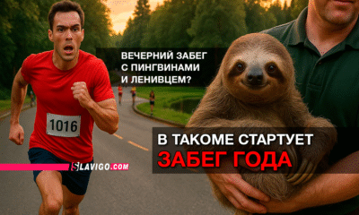 свежие новости сиетла только на slavigo.com