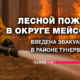 русскоязычные новости штата Вашингтон на slavigo.com