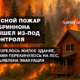 русскоязычные новости штата Вашингтон на slavigo.com