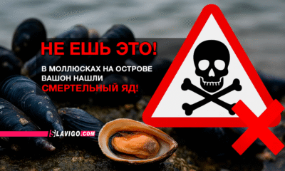 читай свежие новости Сиэтла и пригорода на slavigo.com