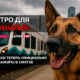 читай свежие новости Сиэтла и пригорода на slavigo.com