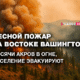 русскоязычные новости штата Вашингтон на slavigo.com