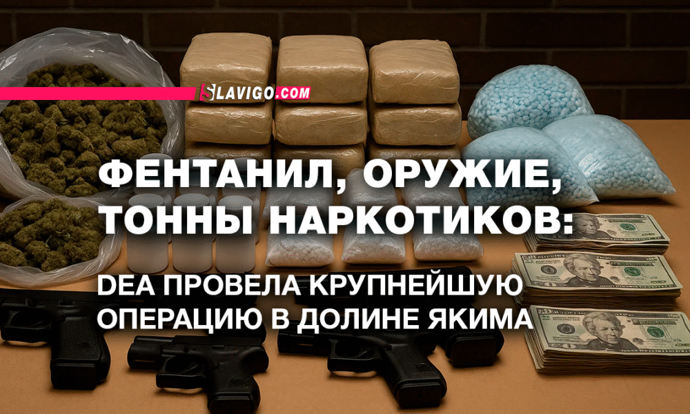русскоязычные новости штата Вашингтон на slavigo.com