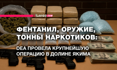 русскоязычные новости штата Вашингтон на slavigo.com