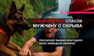 русскоязычные новости штата Вашингтон на slavigo.com