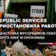 русскоязычные новости штата Вашингтон на slavigo.com