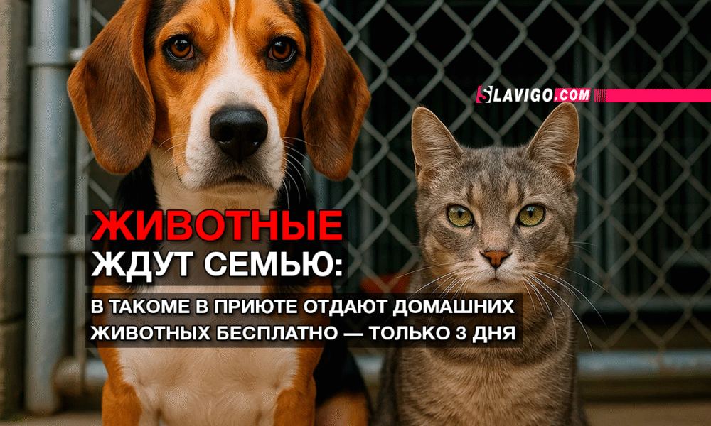 новости штата Вашингтон на slavigo.com