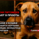 новости штата Вашингтон на slavigo.com