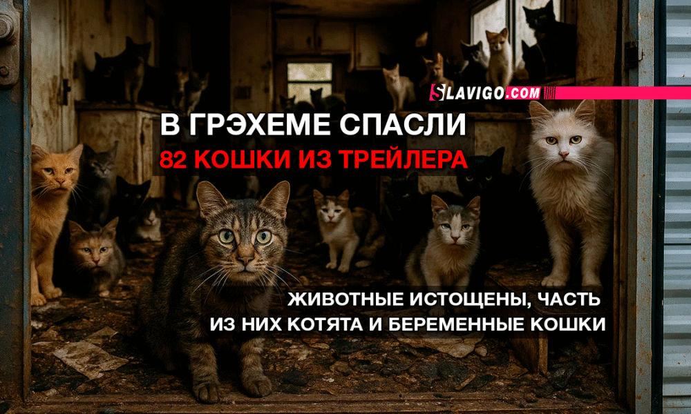 новости штата Вашингтон на slavigo.com