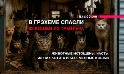 новости штата Вашингтон на slavigo.com