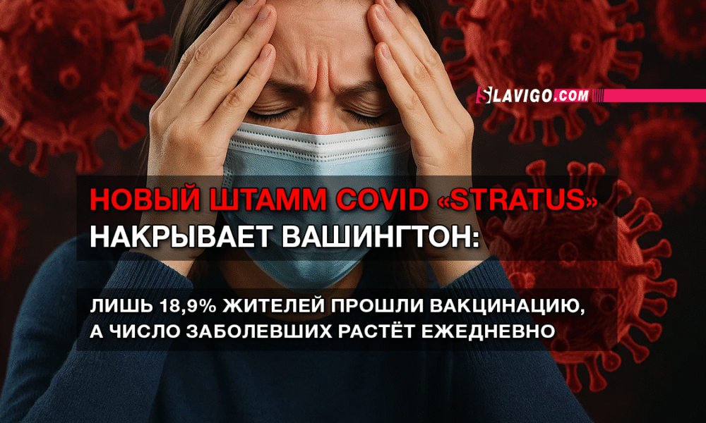 новости штата Вашингтон на slavigo.com