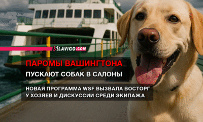 новости штата Вашингтон на slavigo.com