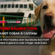 новости штата Вашингтон на slavigo.com