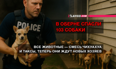 новости штата Вашингтон на slavigo.com