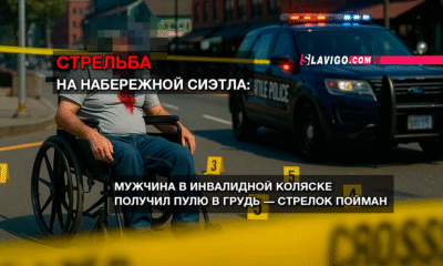 свежие новости сиетла только на slavigo.com