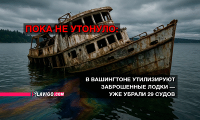 свежие новости сиетла только на slavigo.com