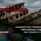 свежие новости сиетла только на slavigo.com