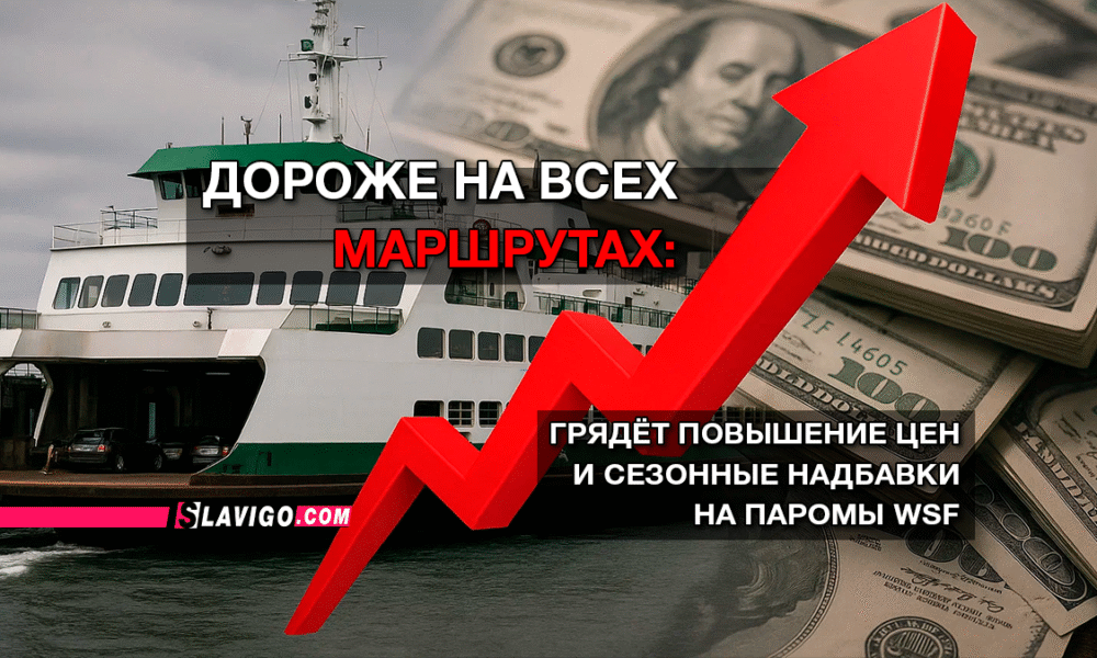 свежие новости сиетла только на slavigo.com