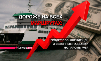 свежие новости сиетла только на slavigo.com