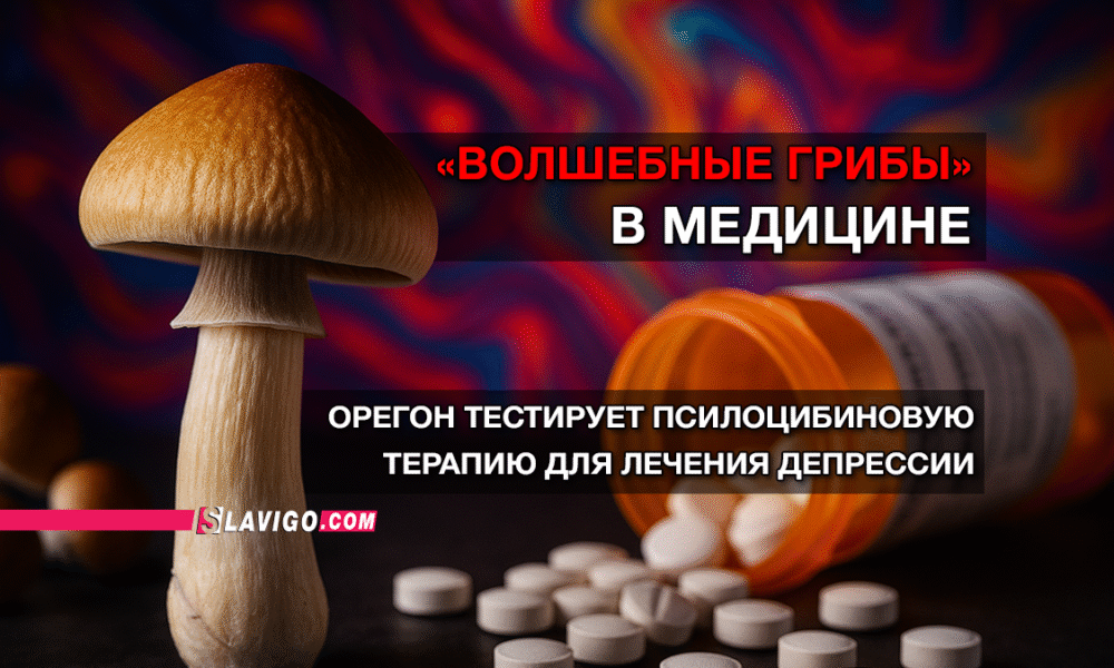 свежие новости сиетла только на slavigo.com