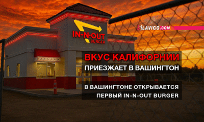 свежие новости сиетла только на slavigo.com