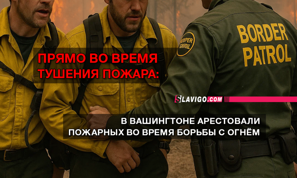 свежие новости сиетла только на slavigo.com
