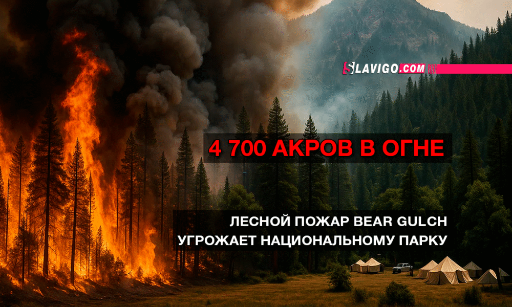 читай свежие новости Сиэтла и пригорода на slavigo.com