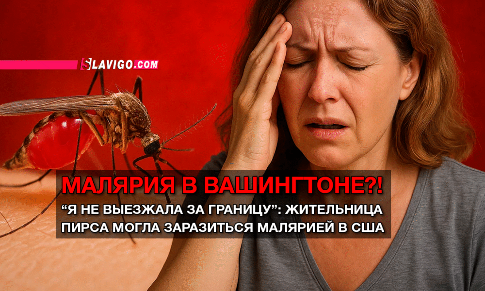 читай свежие новости Сиэтла и пригорода на slavigo.com