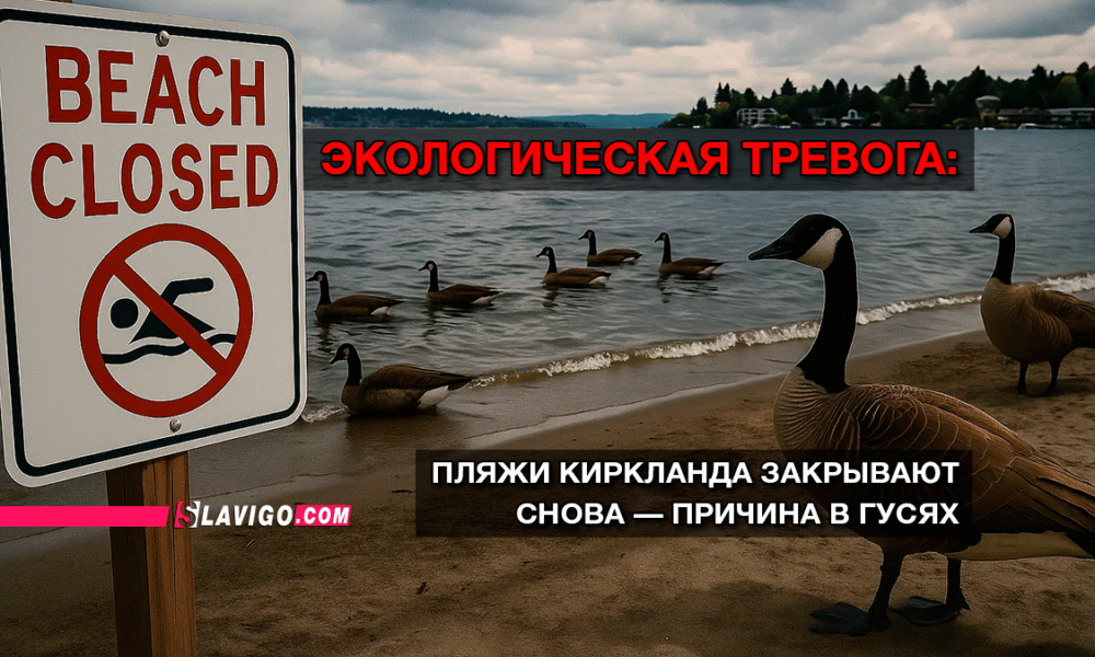 читай свежие новости Сиэтла и пригорода на slavigo.com
