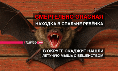 читай свежие новости Сиэтла и пригорода на slavigo.com