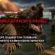 читай свежие новости Сиэтла и пригорода на slavigo.com