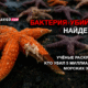 новости штата Вашингтон на slavigo.com