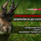 новости штата Вашингтон на slavigo.com