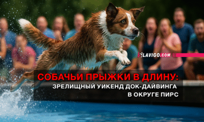 новости штата Вашингтон на slavigo.com