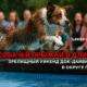 новости штата Вашингтон на slavigo.com