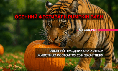 новости штата Вашингтон на slavigo.com