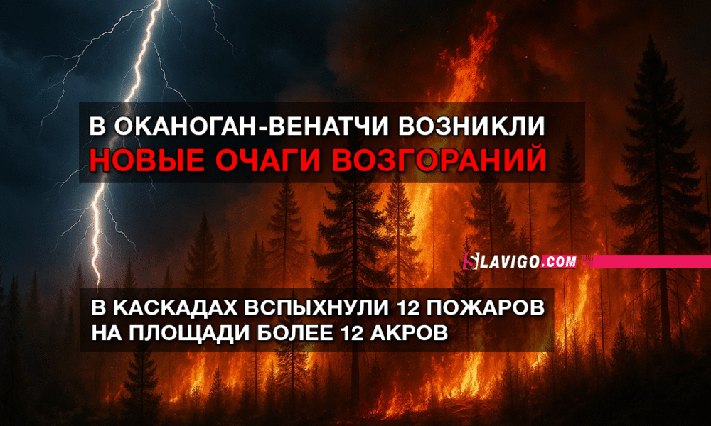 свежие новости сиетла только на slavigo.com