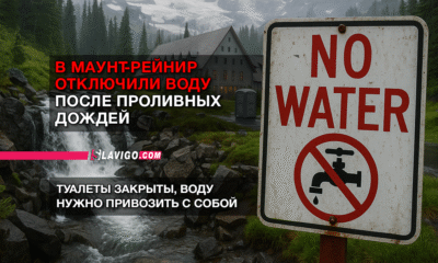 свежие новости сиетла только на slavigo.com