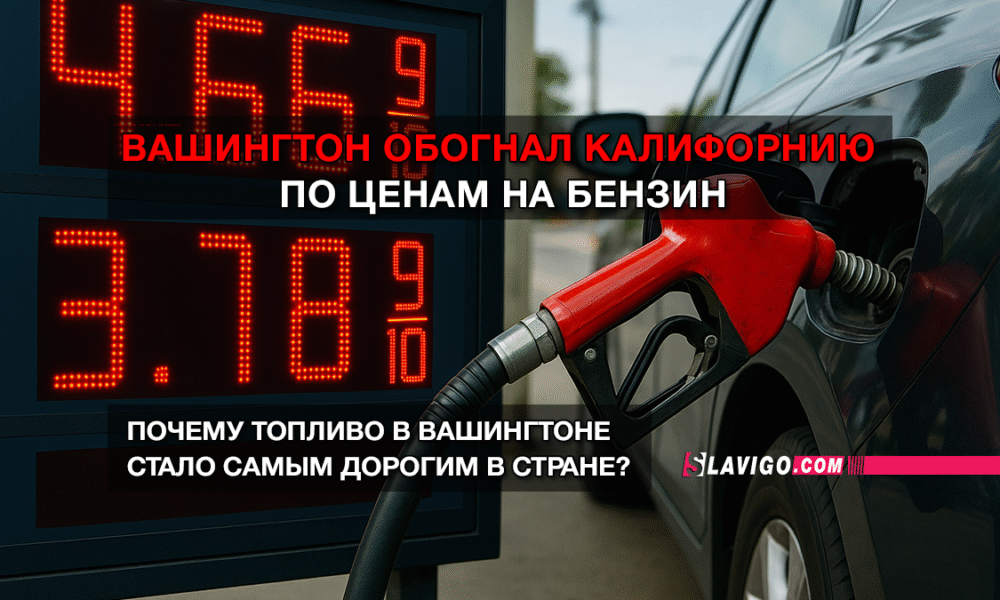 свежие новости сиетла только на slavigo.com