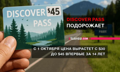свежие новости сиетла только на slavigo.com