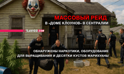 свежие новости сиетла только на slavigo.com
