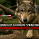 свежие новости сиетла только на slavigo.com