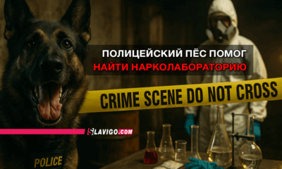 свежие новости сиетла только на slavigo.com