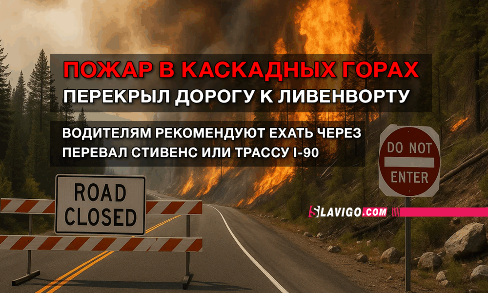 свежие новости сиетла только на slavigo.com