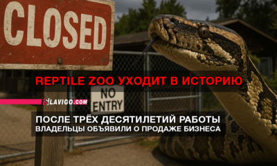 читай свежие новости Сиэтла и пригорода на slavigo.com