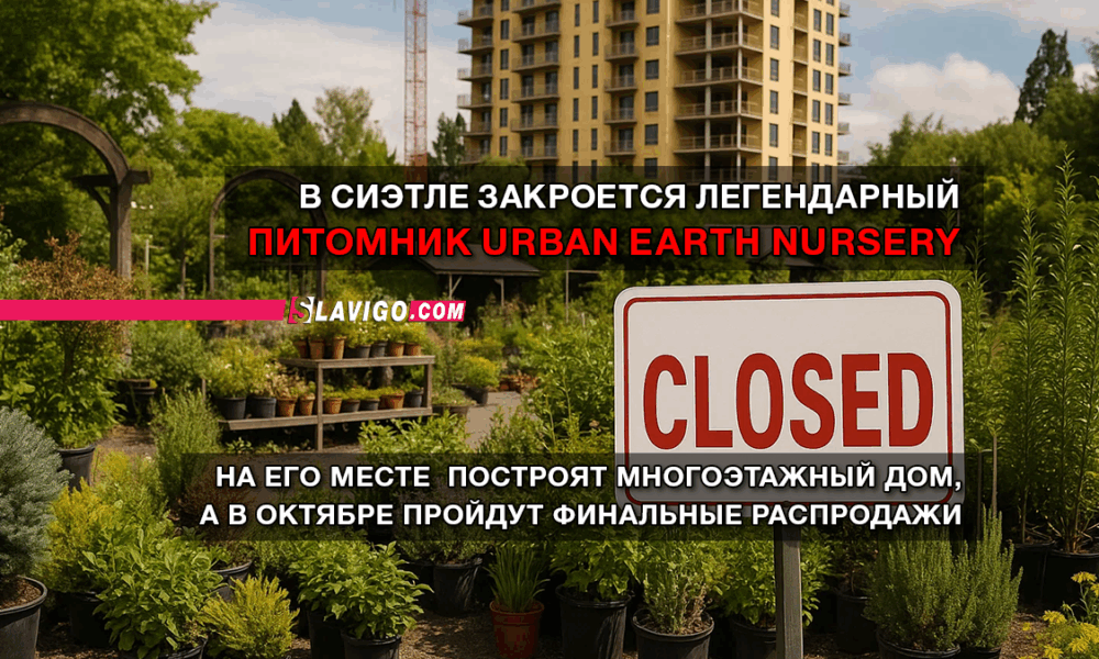 свежие новости сиетла только на slavigo.com читай свежие новости Сиэтла и пригорода на slavigo.com