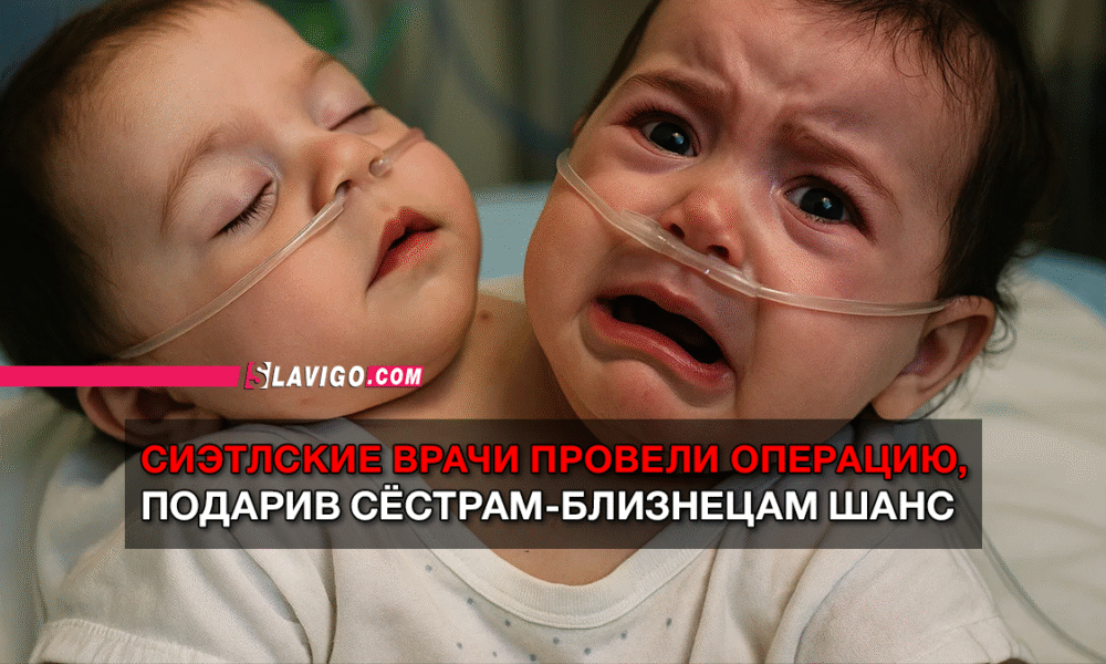 новости штата Вашингтон на slavigo.com